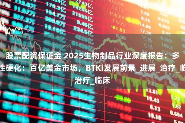 股票配资保证金 2025生物制品行业深度报告：多发性硬化：百亿美金市场，BTKi发展前景_进展_治疗_临床